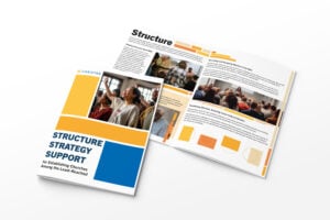 Flagship: Structure, Strategy, Support
