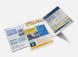 Annual Report (2025)